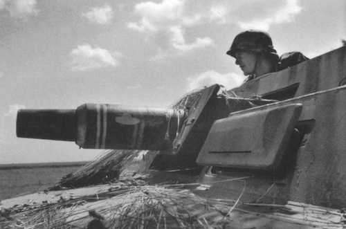 Sd Kfz 251/9 D (7.5cm)