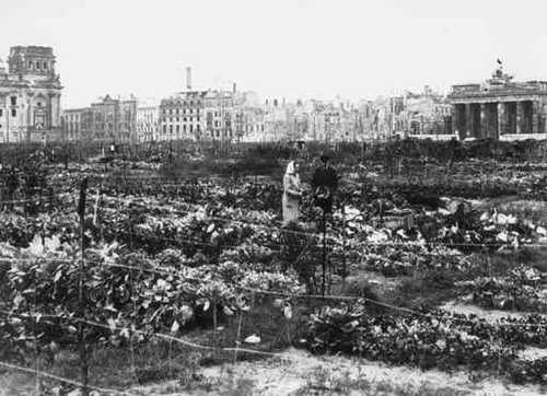 Tiergarten plant 8after the War)