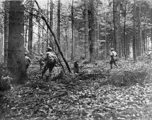 Company E, 110th Infantry,Hurtgen Forest - US Army | Gallery