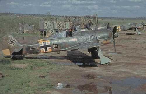 Fw 190 A-5 (1943)